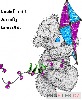 kamosi-151.jpg