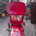 Dagdewey95